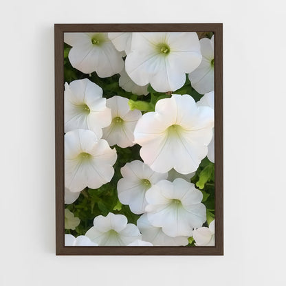 ap-morning glory-8 cadre Bois foncé