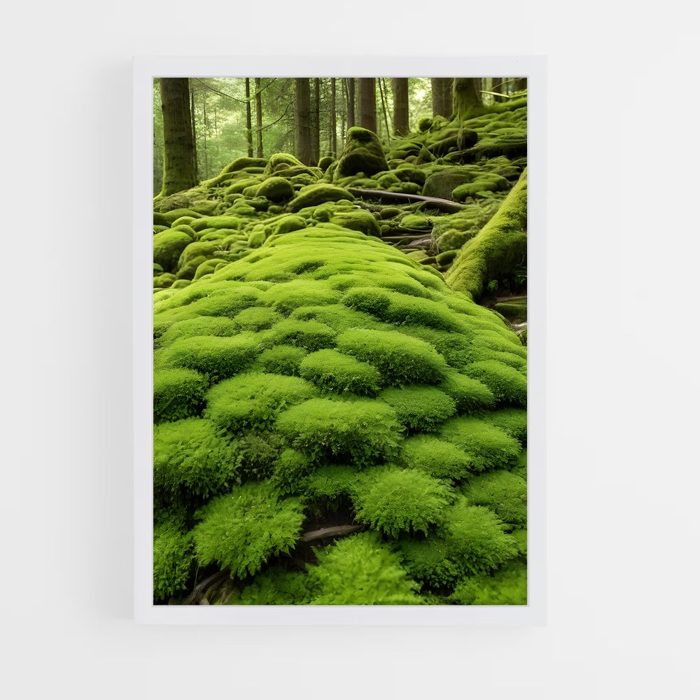ap-moss-3 cadre Blanc