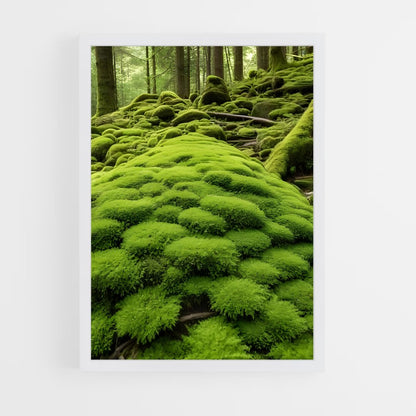 ap-moss-3 cadre Blanc