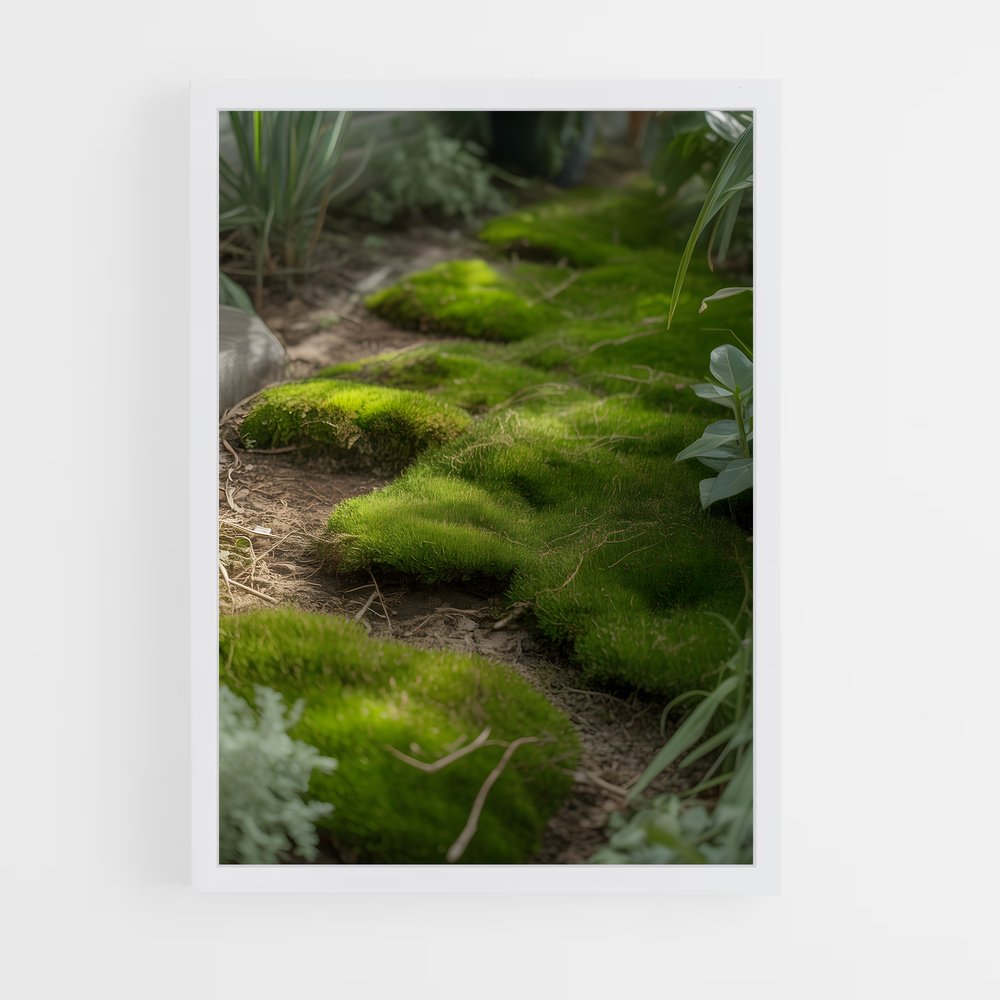 ap-moss-5 cadre Blanc