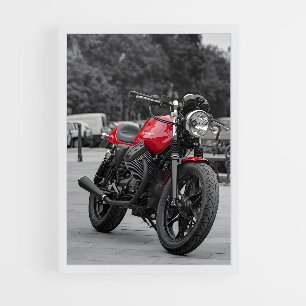 ap-moto guzzi-4 cadre Blanc