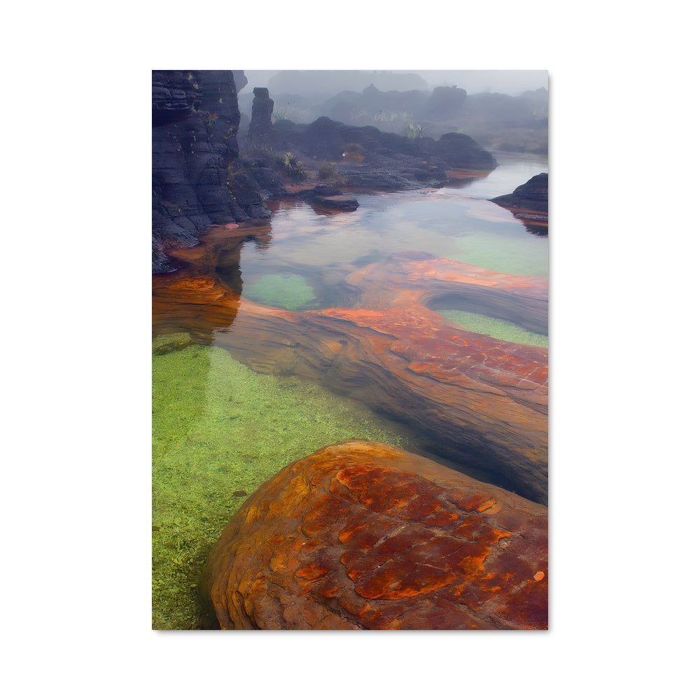 Poster Reflets de Roraima