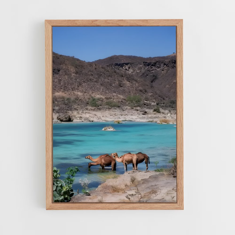 ap-muscat-2 cadre Bois clair