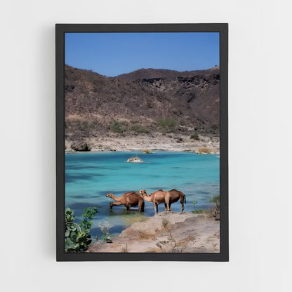 ap-muscat-2 cadre Noir