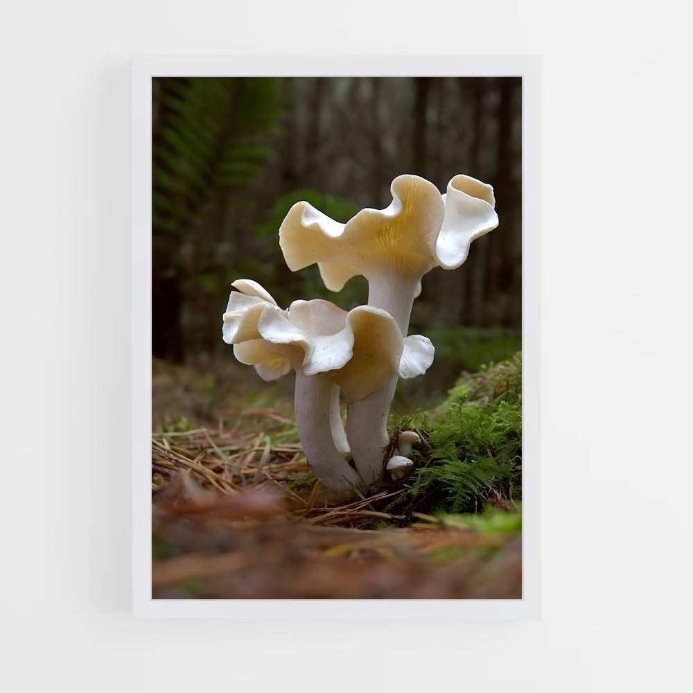 ap-mushroom-1 cadre Blanc