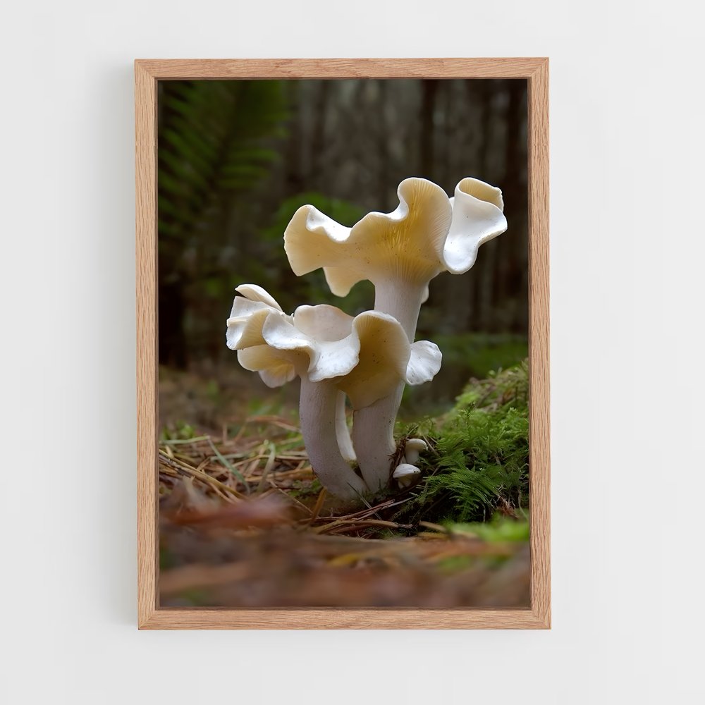 ap-mushroom-1 cadre Bois clair