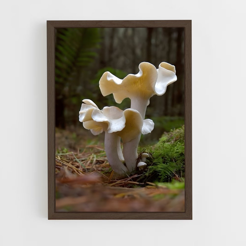 ap-mushroom-1 cadre Bois foncé