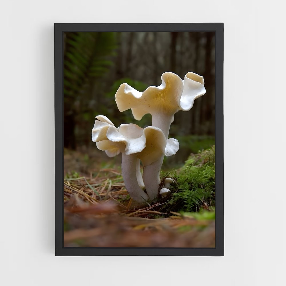 ap-mushroom-1 cadre Noir