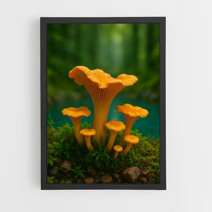 ap-mushroom-6 cadre Noir