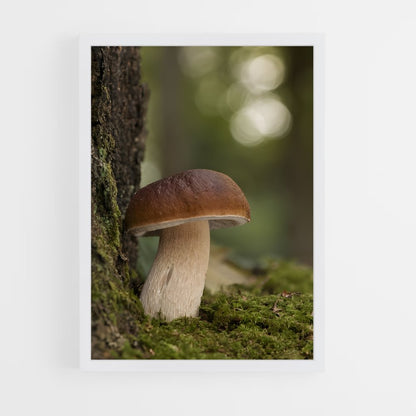ap-mushroom-9 cadre Blanc