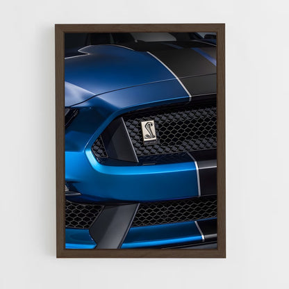 ap-mustang gt350r-4 cadre Bois foncé