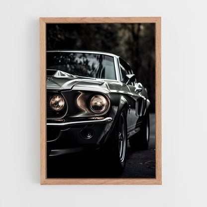 ap-mustang shelby-3 cadre Bois clair