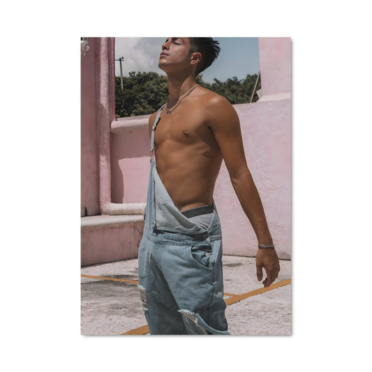 Poster Le Rêveur Rose