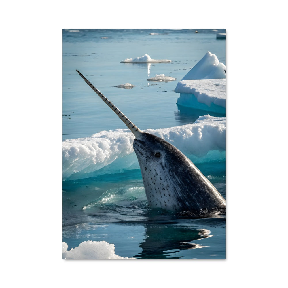 Poster Voyage au Pôle