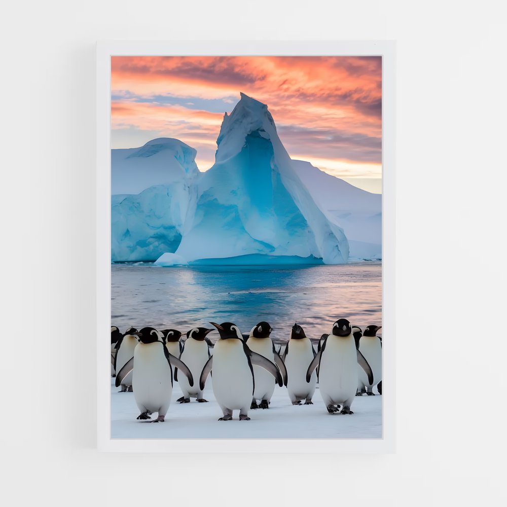 ap-national geographic-10 cadre Blanc