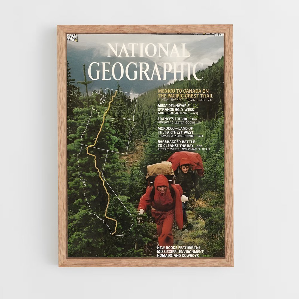 ap-national geographic-2 cadre Bois clair