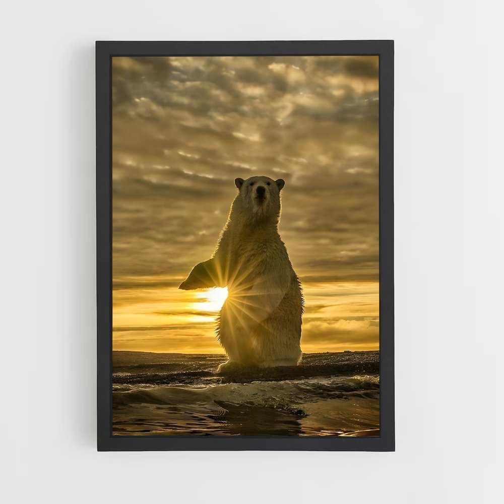 ap-national geographic-4 cadre Noir