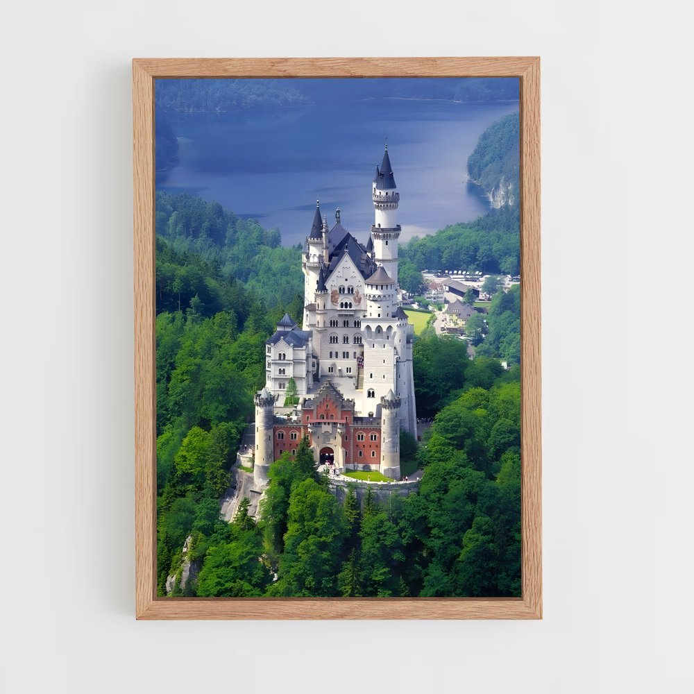 ap-neuschwanstein castle-11 cadre Bois clair