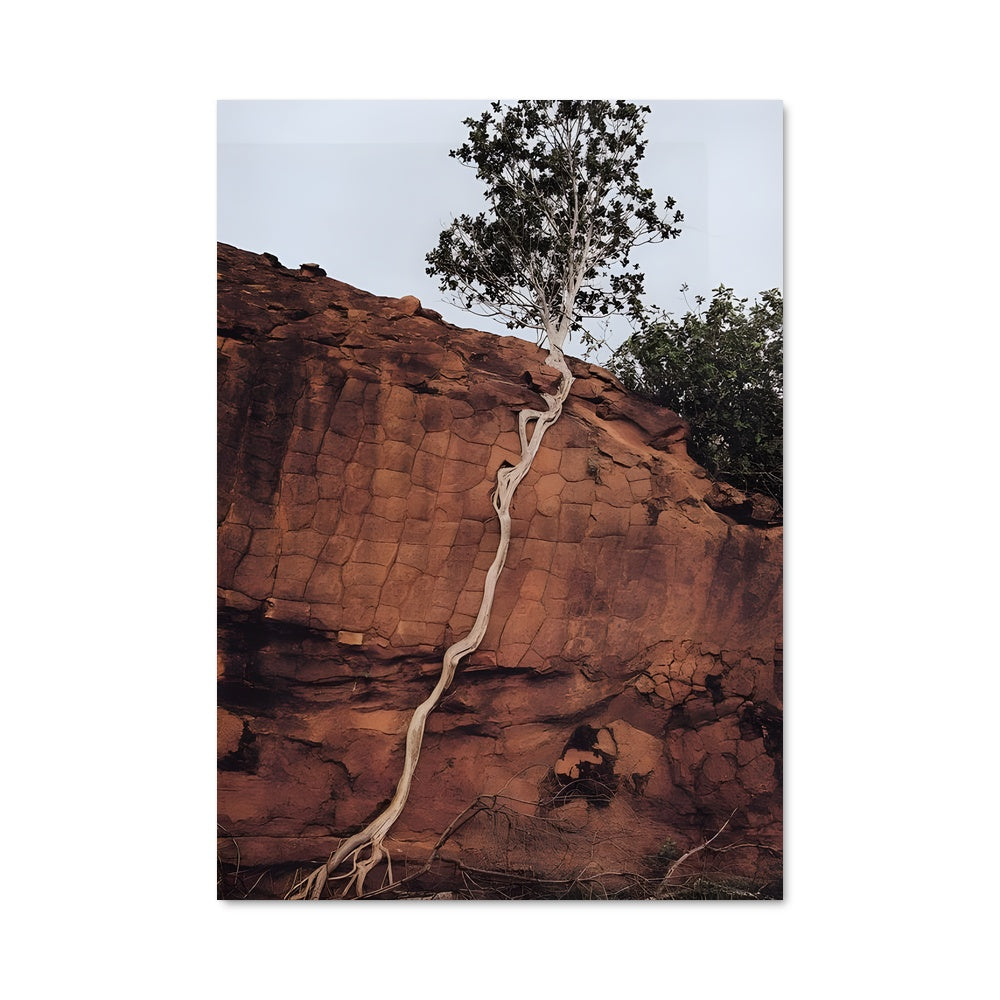 Poster New growth 97630