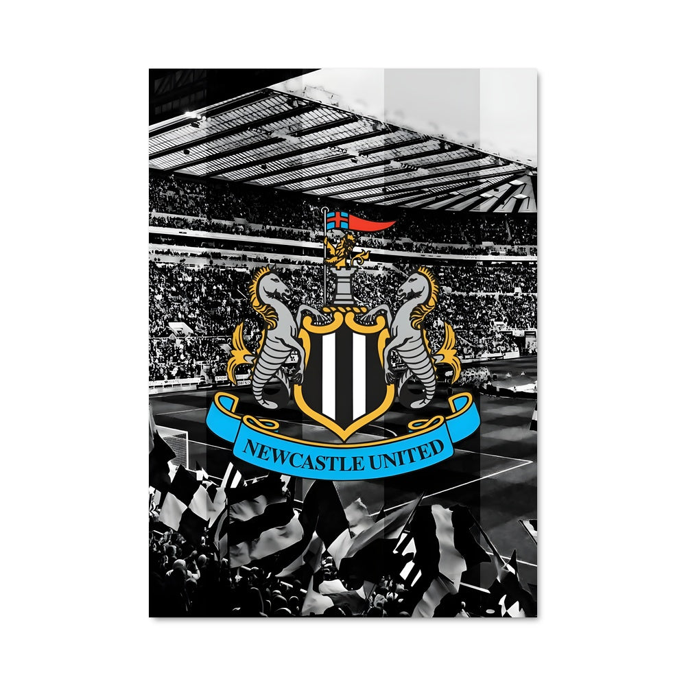 Poster Magpies Unleashed