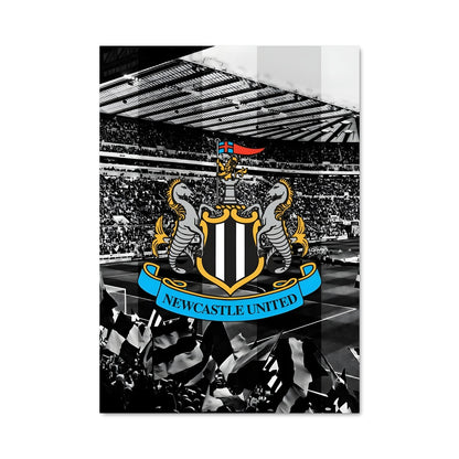 Poster Magpies Unleashed