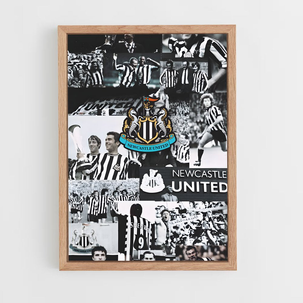 ap-newcastle united fc-7 cadre Bois clair