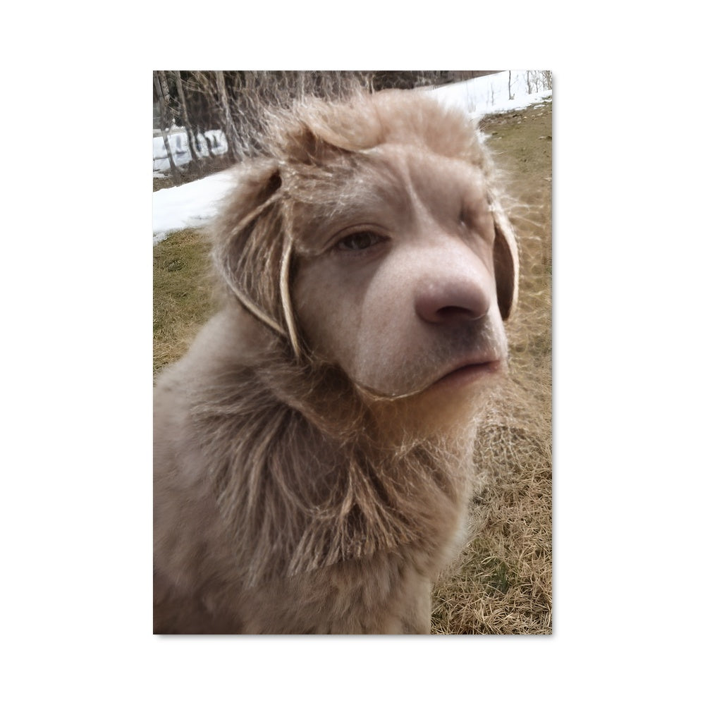 Poster Compagnon de Prairie