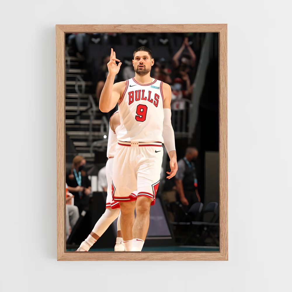 ap-nikola vucevic-1 cadre Bois clair