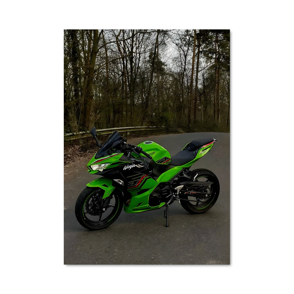 Poster Ninja 300 82379