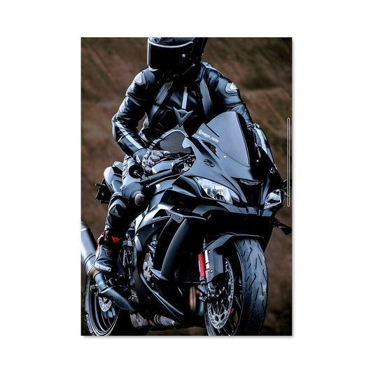 Poster Ninja h2 82397