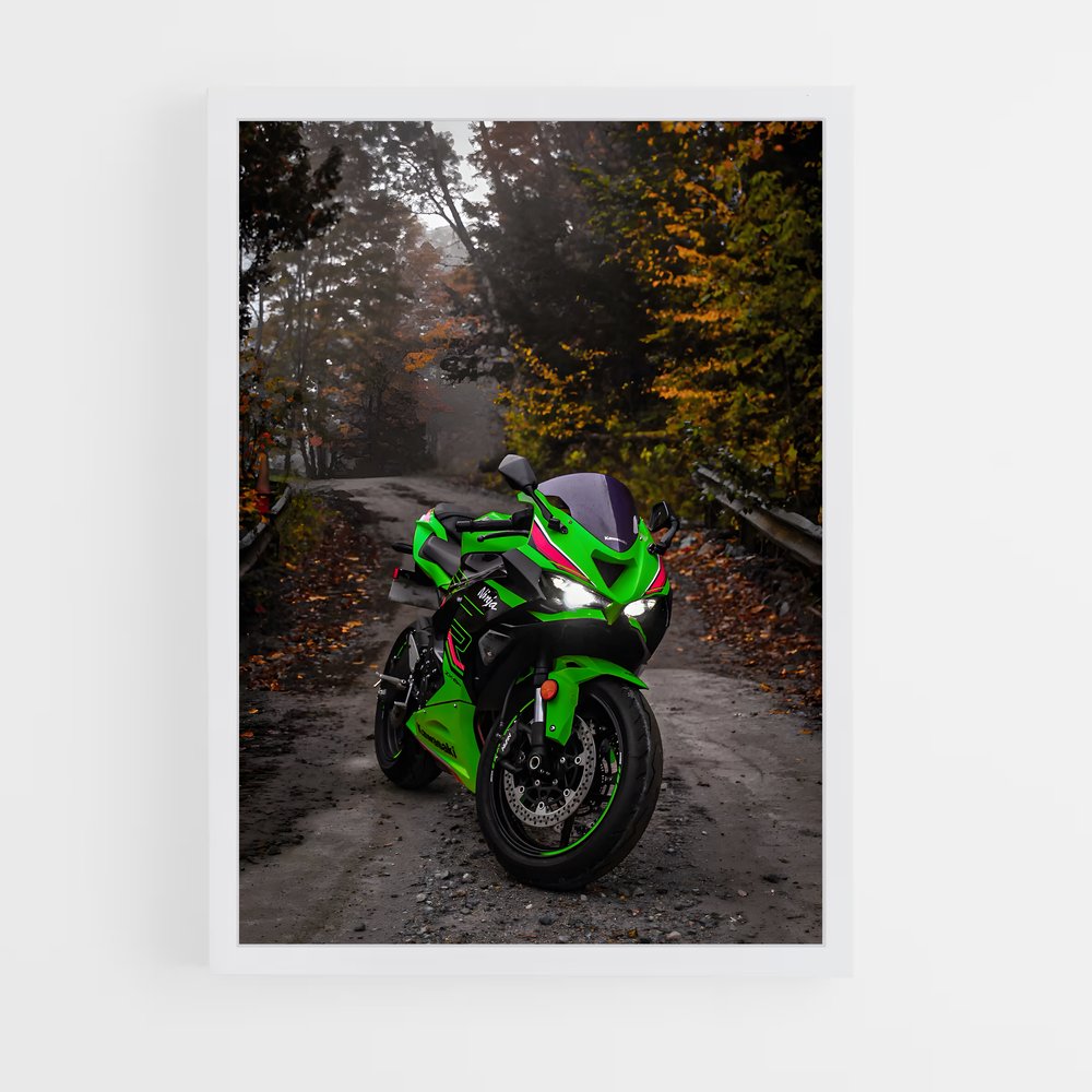 ap-ninja zx-6r-8 cadre Blanc
