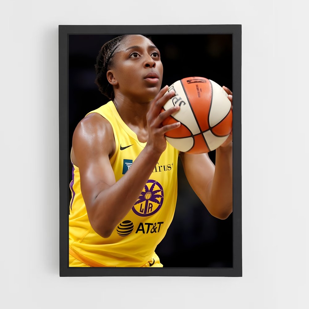 ap-nneka ogwumike-2 cadre Noir