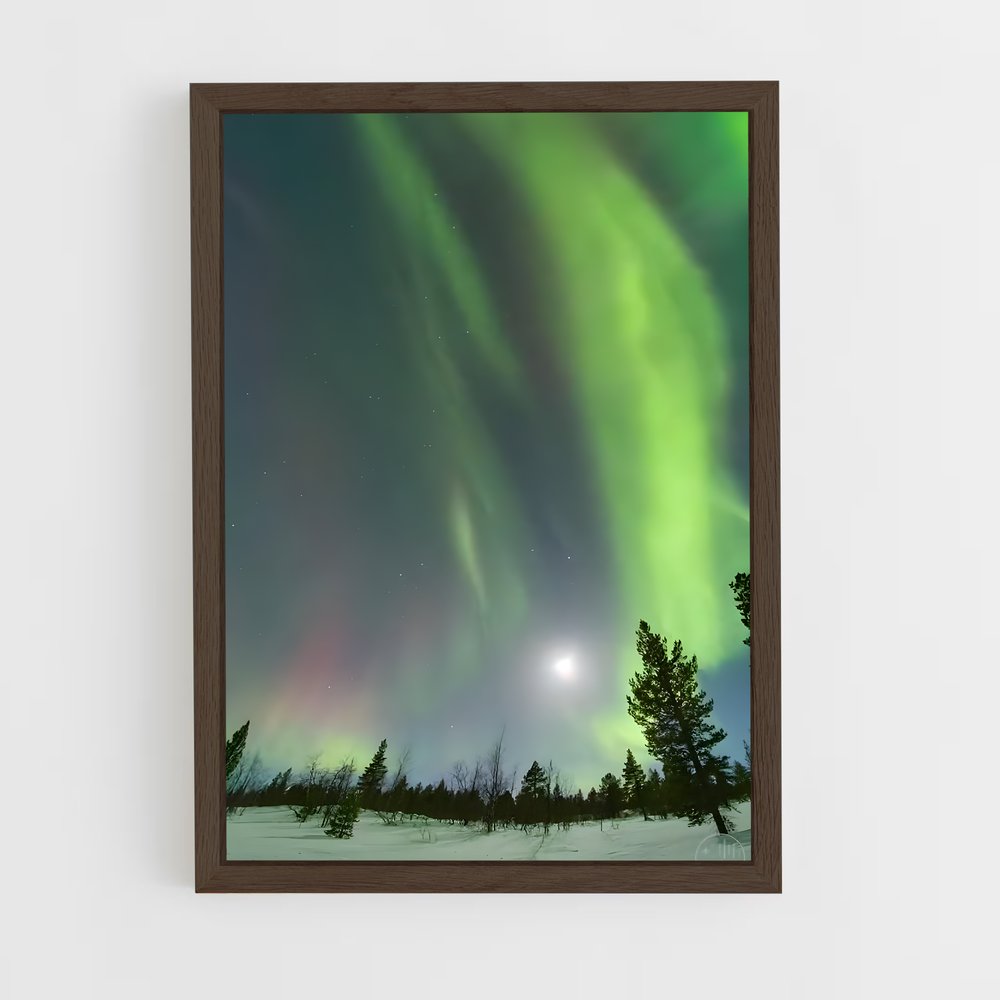 ap-norway aurora-5 cadre Bois foncé