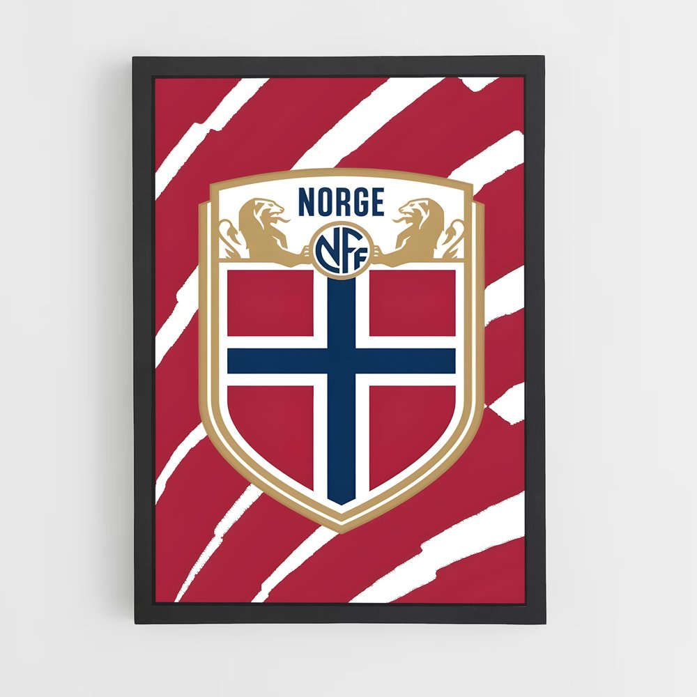 ap-norway national football team-3 cadre Noir