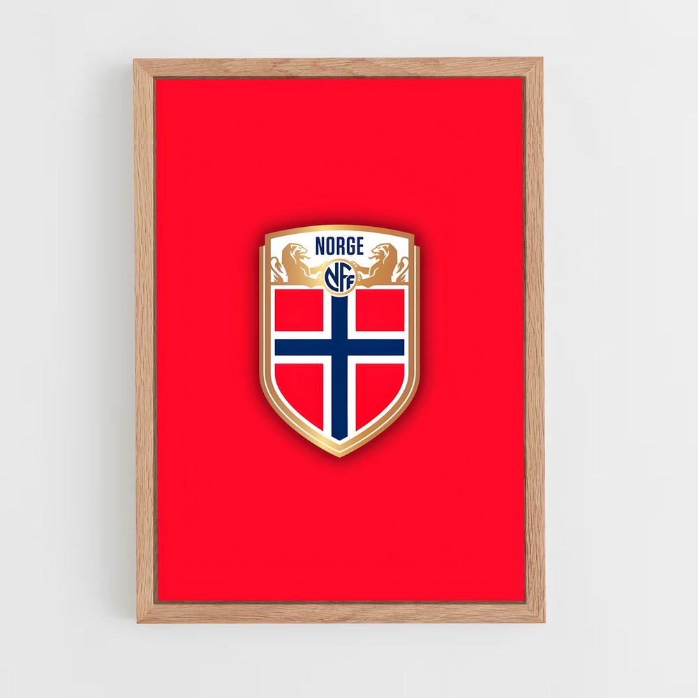 ap-norway national football team-5 cadre Bois clair