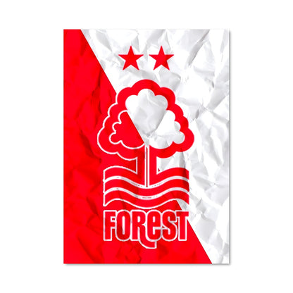 Poster Nottingham forest fc 72142