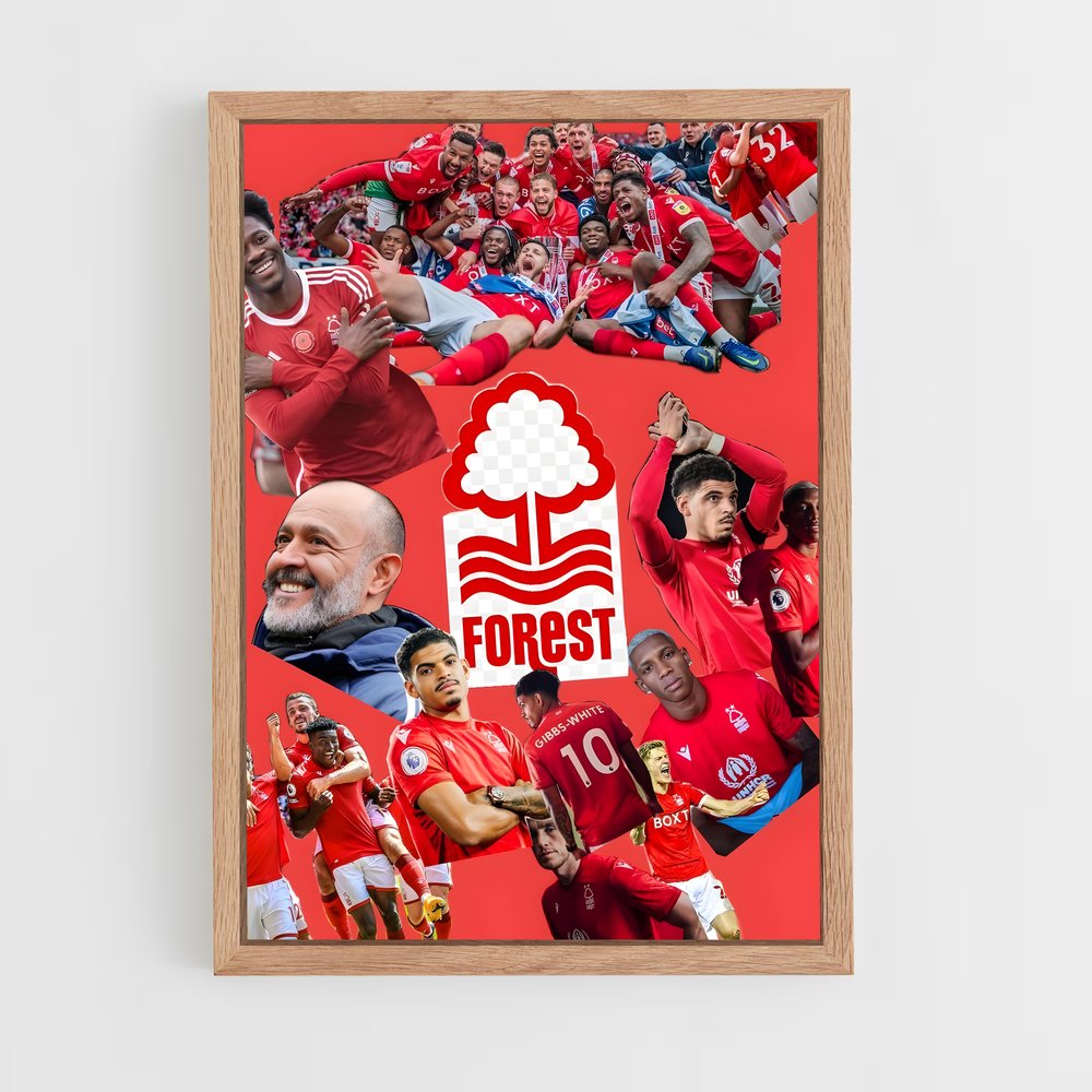 ap-nottingham forest fc-4 cadre Bois clair