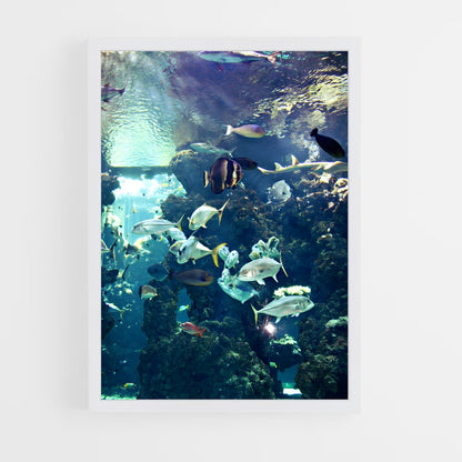 ap-oceanographic museum-1 cadre Blanc