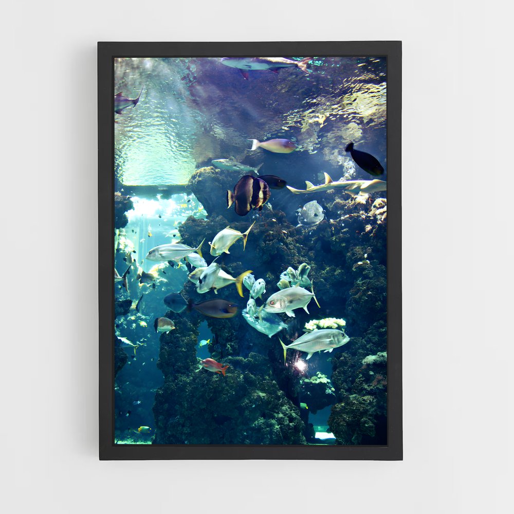 ap-oceanographic museum-1 cadre Noir
