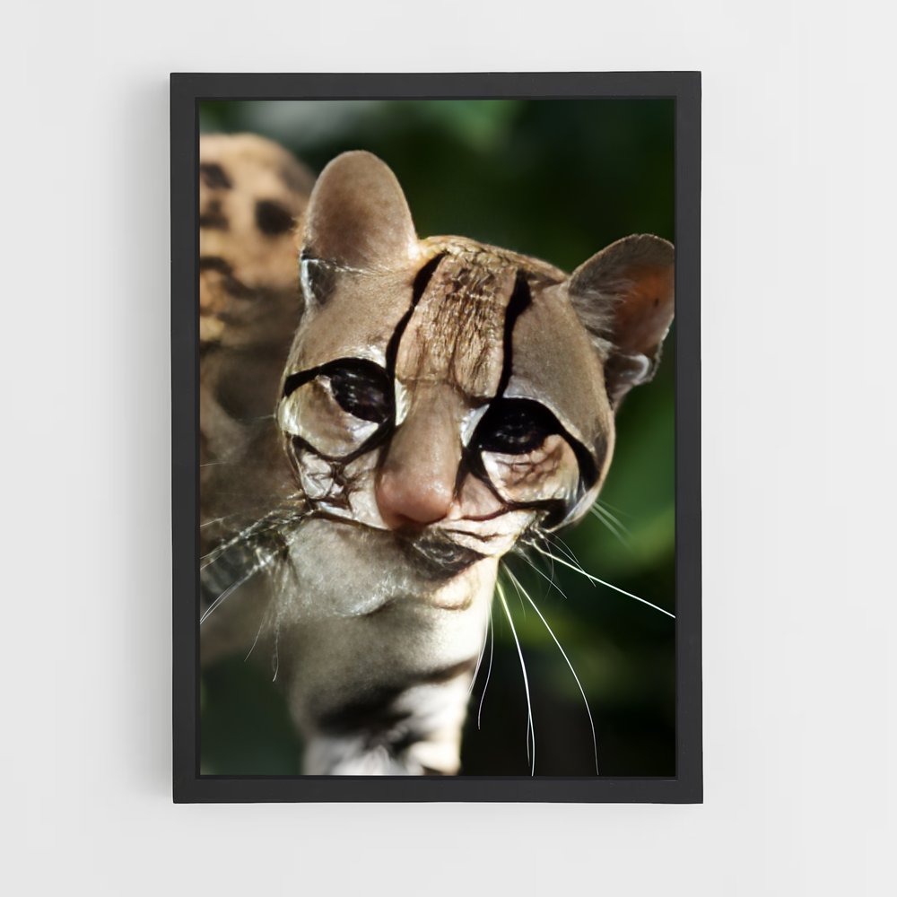 ap-ocelot-4 cadre Noir