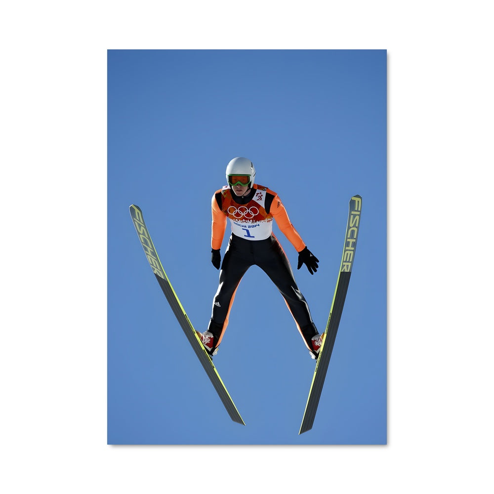 Poster Vol Alpins