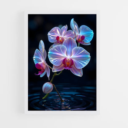 ap-orchid-3 cadre Blanc