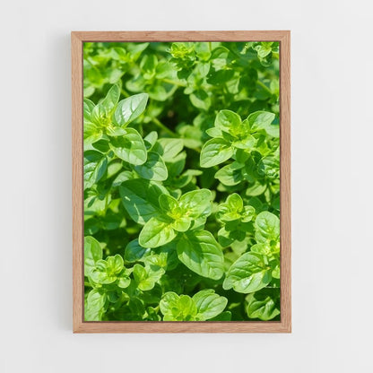 ap-oregano-4 cadre Bois clair