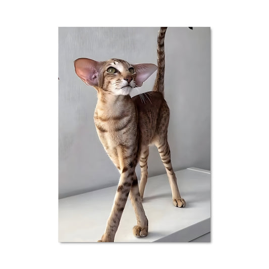 Poster Oriental 84750