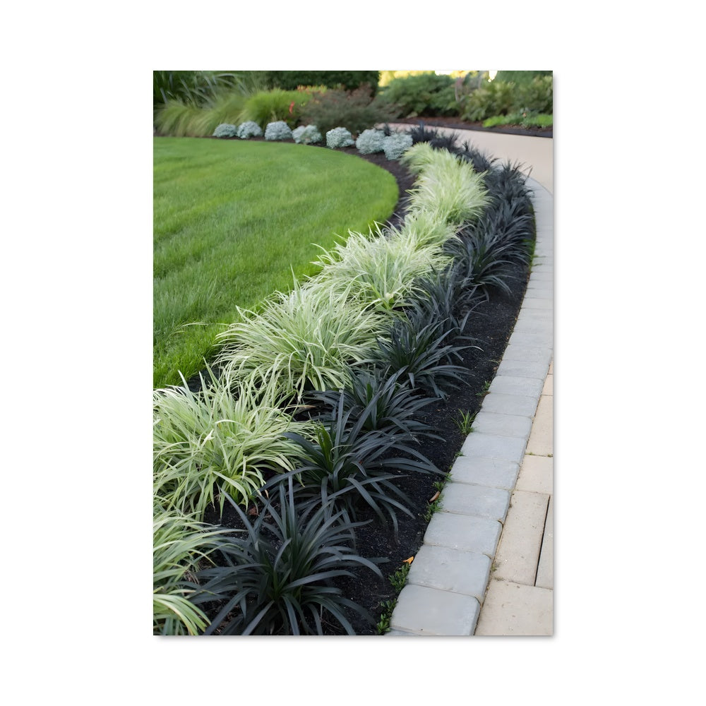 Poster Jardin Épuré