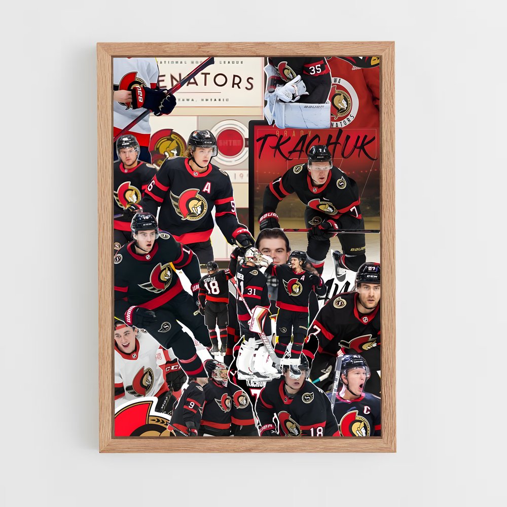 ap-ottawa senators-3 cadre Bois clair
