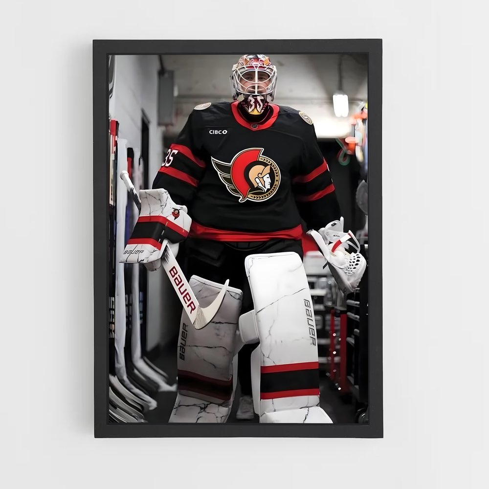ap-ottawa senators-8 cadre Noir