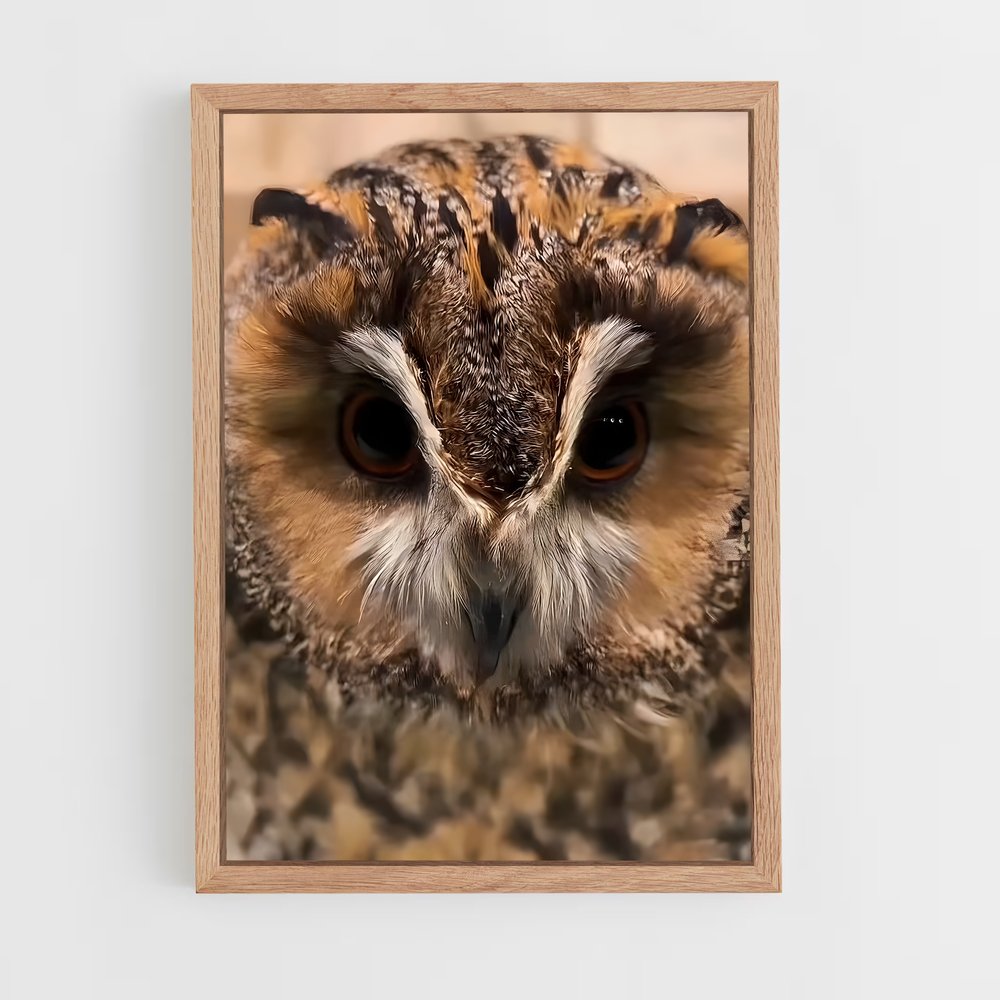ap-owl-6 cadre Bois clair