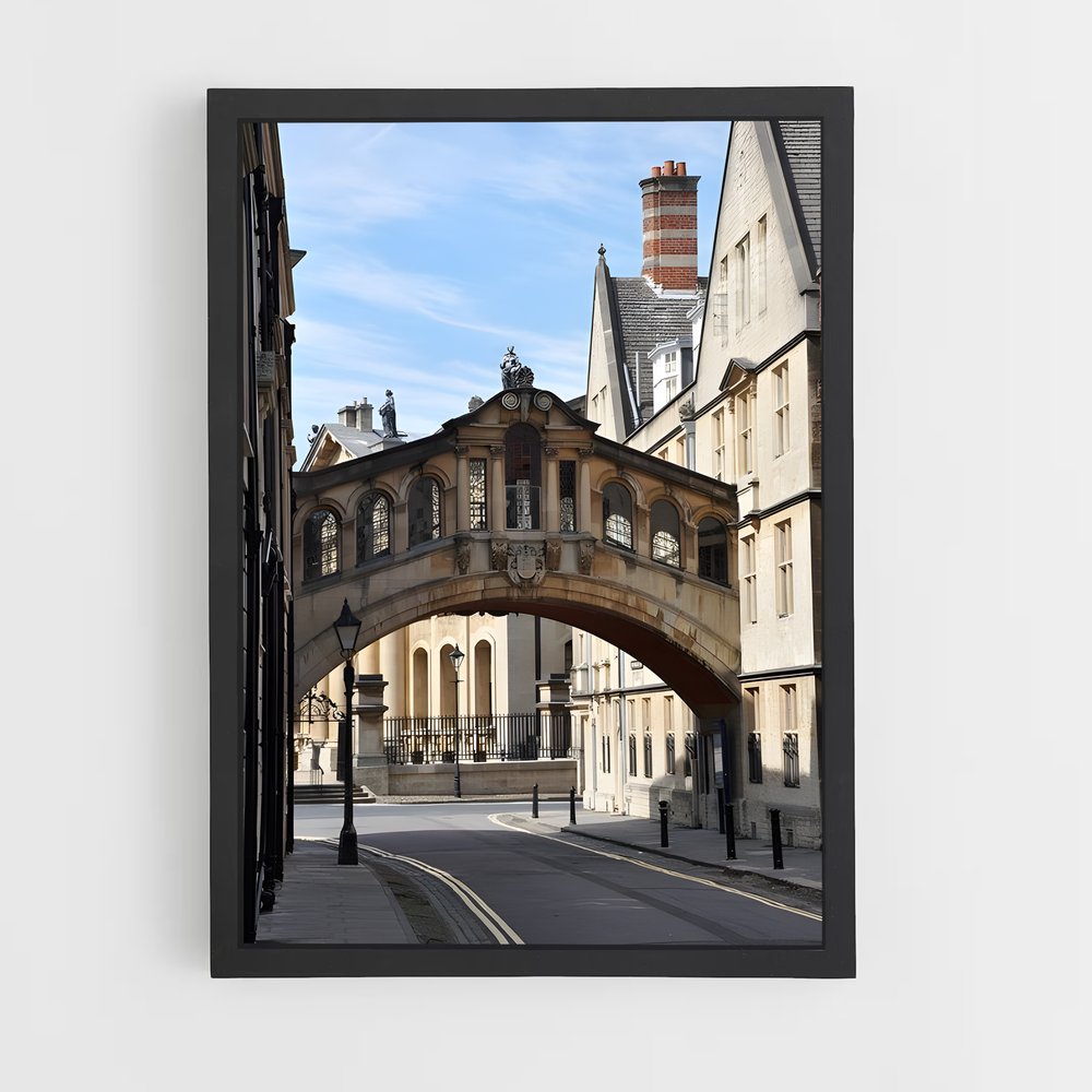 ap-oxford-6 cadre Noir