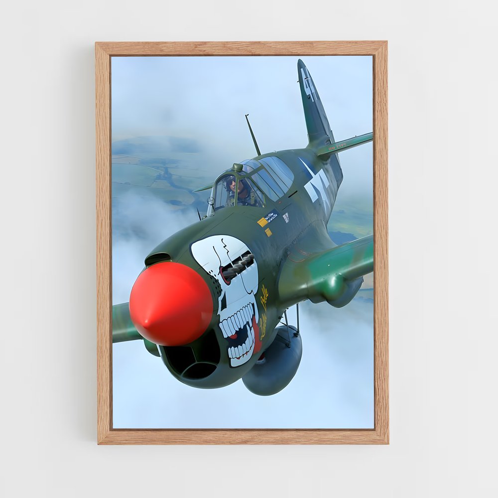 ap-p-40 warhawk-1 cadre Bois clair